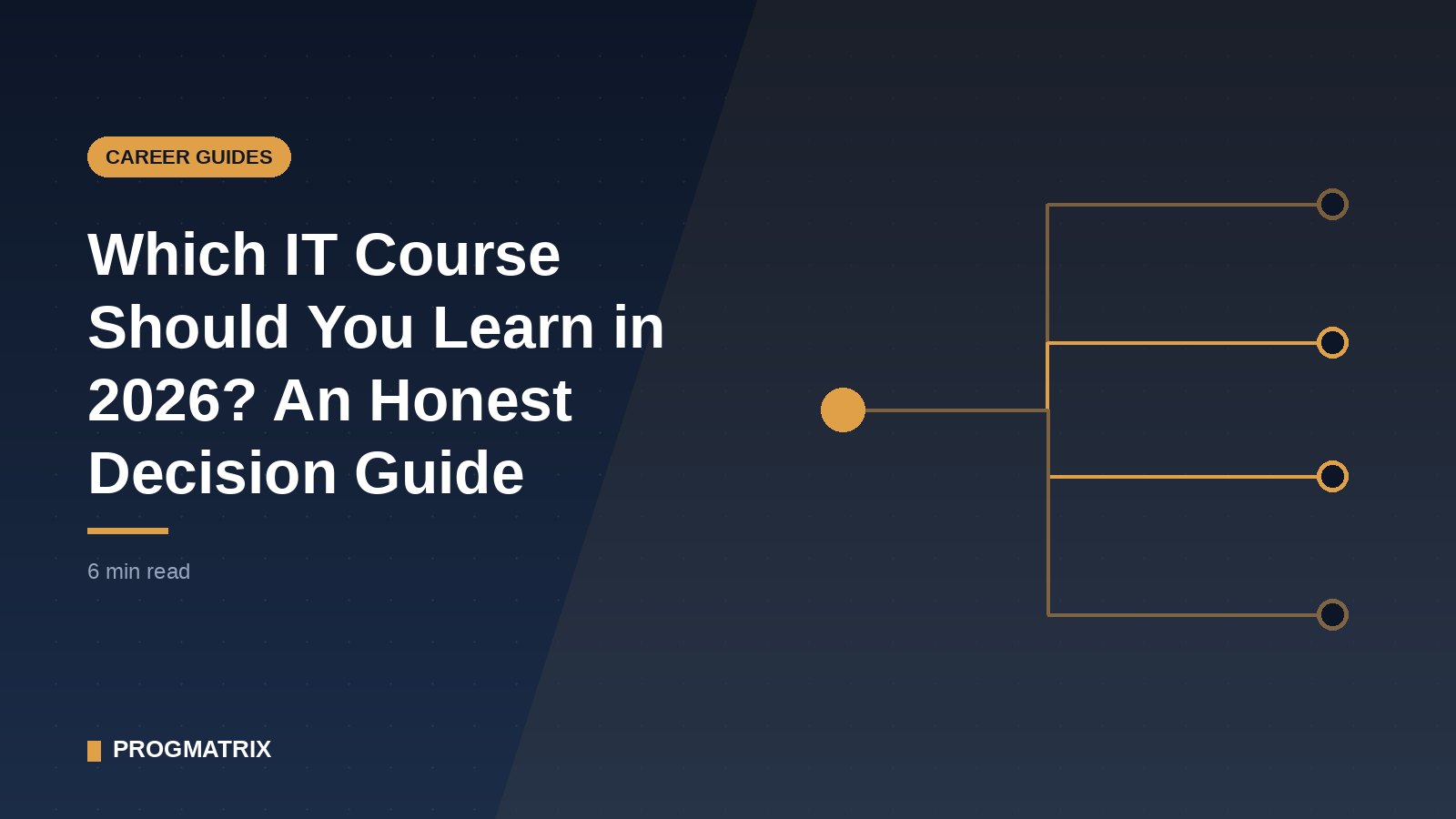 Decision tree diagram helping learners choose between IT course tracks such as data, cloud, development and security